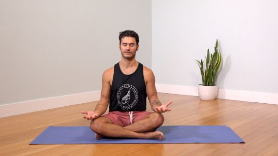 Hip Openers: Gentle Hips & Hammies