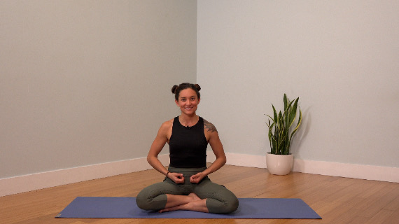 The Pelvic Diaphragm - Pt. 3