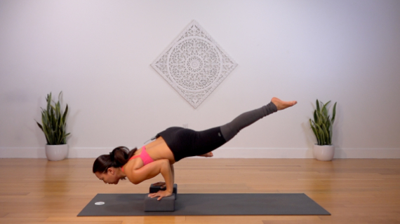 Eka Pada Koundinyasana