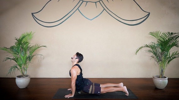 Spinal Waves