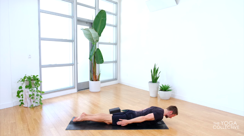 Shoulders, Neck & Upper Back