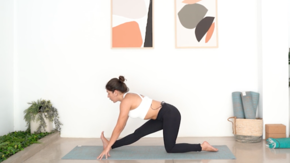 Vinyasa Fluida