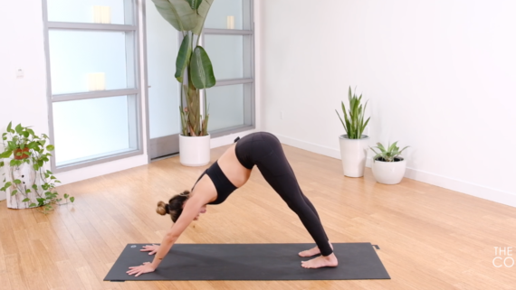 Dynamic Detox