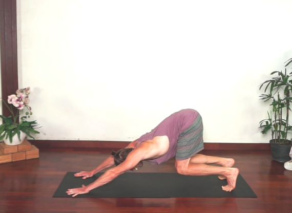 Flexion Extension Class