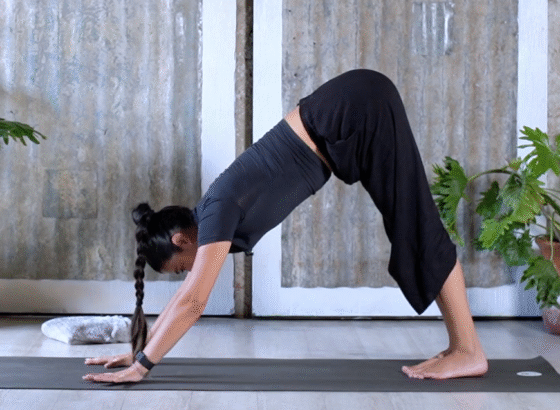 Flexibility & Joint Unlocking